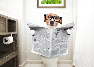 Three Natural Remedies for Constipation